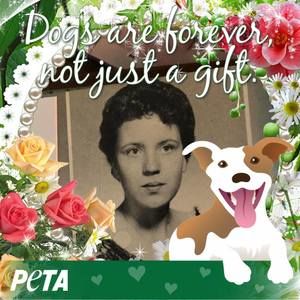 Meet your Posher, Darline